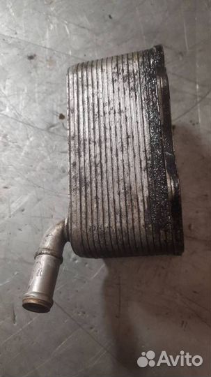 Радиатор масляный Volkswagen Passat B6 2006