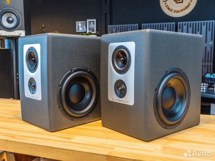 Barefoot Footprint 01 пара мониторов