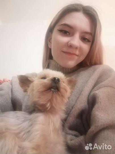 Передержка животных (собак,кошек,грызуны)