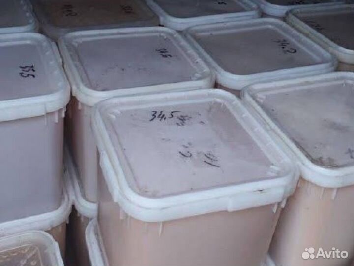 Мед оптом. Васильковой мёд