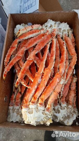 Клешни камчатского краба