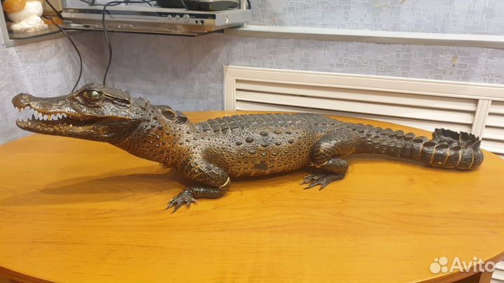 Чучело крокодила