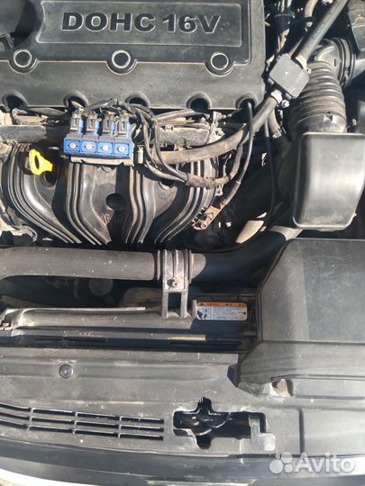 Kia Carens, 2008