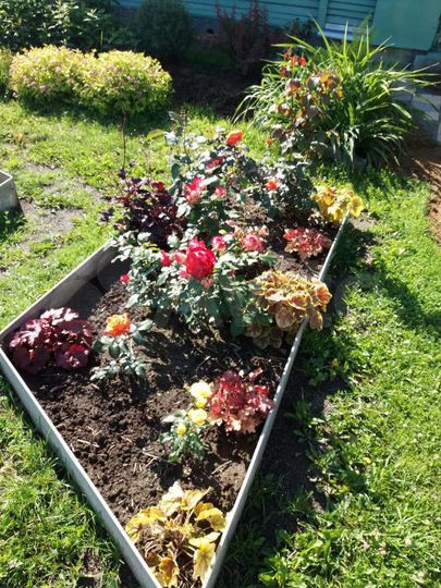 Дача 72 м² на участке 12 сот.