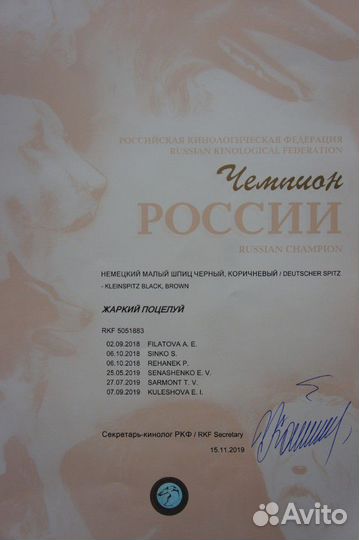 Вязка