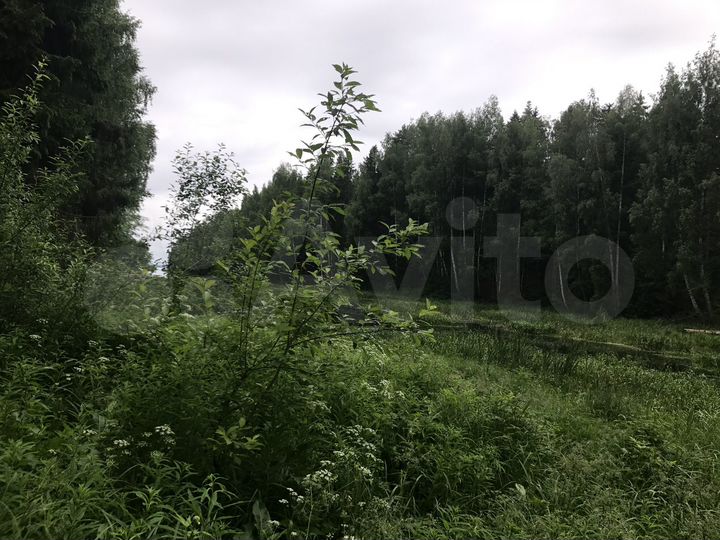 Участок 3 га (ИЖС)