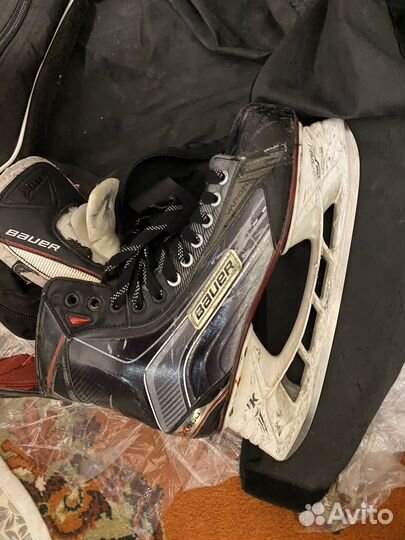 Коньки bauer vapor x800