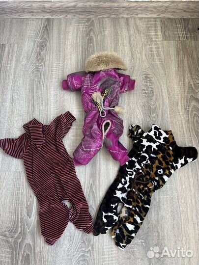 Одежда для мелких пород собак