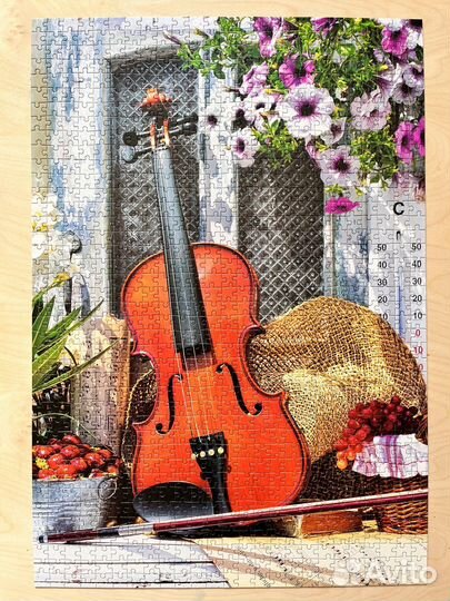 Пазлы 1000 Castorland