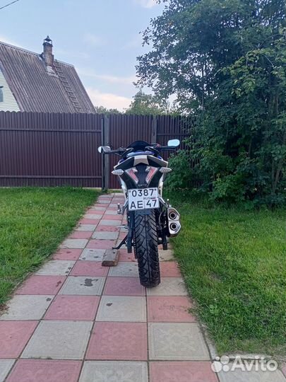 Racer rc250xzr-A storm