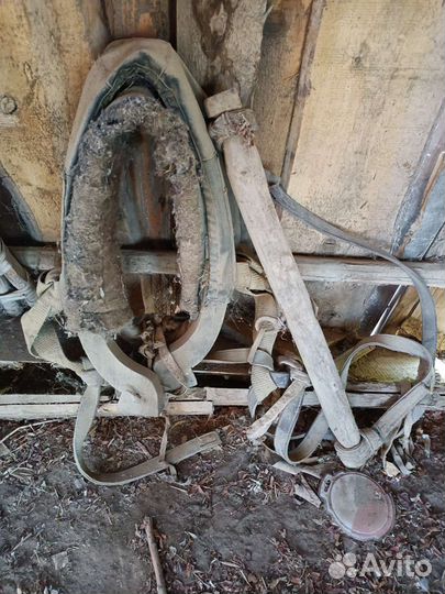 Конный плуг