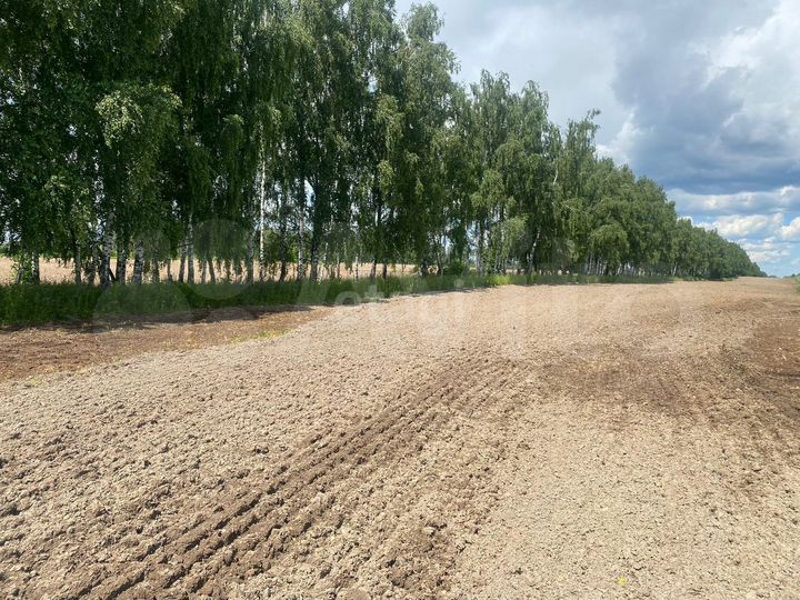 Участок 1,22 га (СНТ, ДНП)