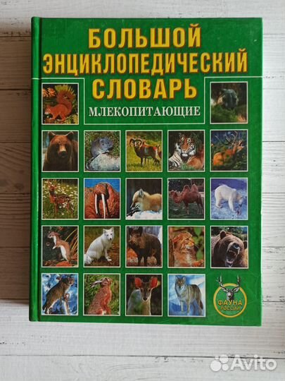 Энциклопедии и справочники школьников