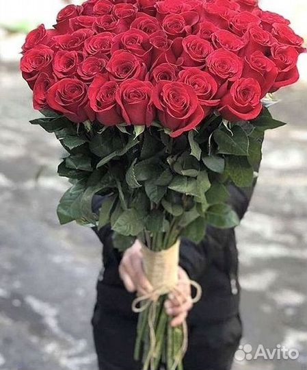 Высокие розы Гигантские розы 110