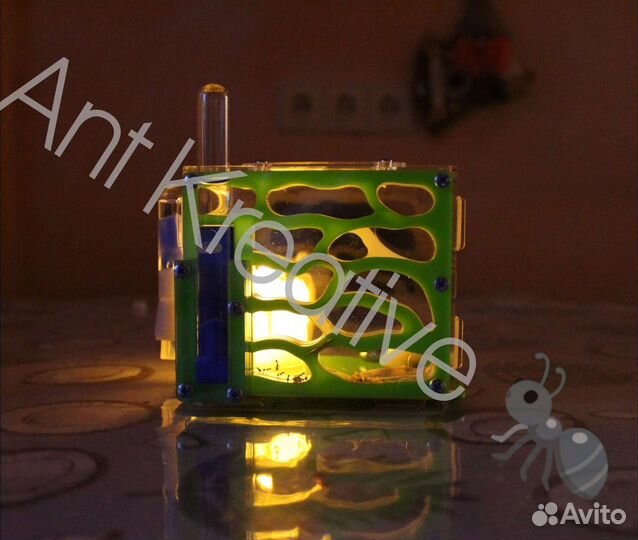 Муравьиные фермы - Формикарии