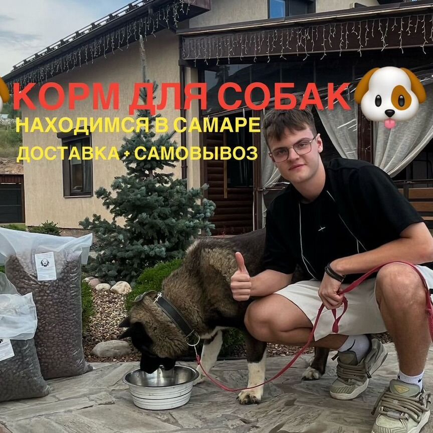 Корм для собак от производителя