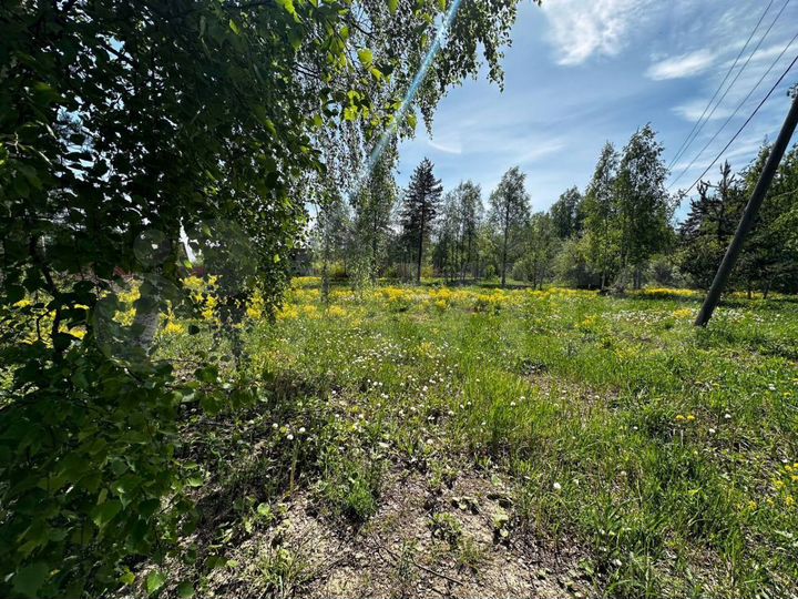 Участок 25 сот. (СНТ, ДНП)