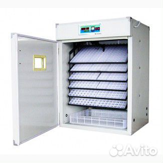 Инкубатор