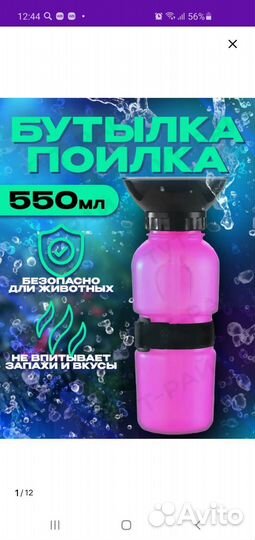 Поиска для животных