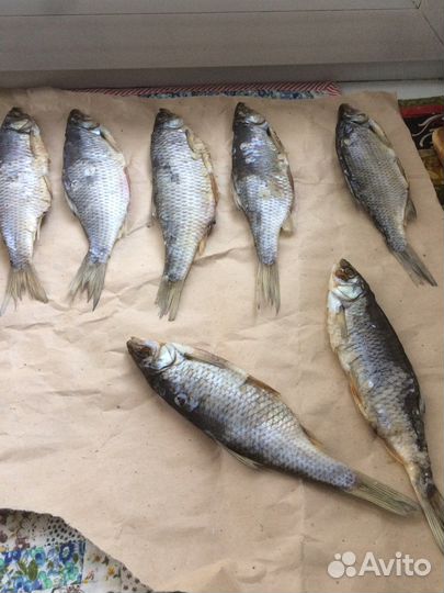 Окунь и плотва вяленые