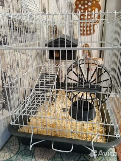 Клетка для грызунов