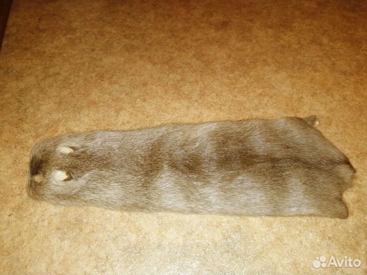 Шкура нутрии