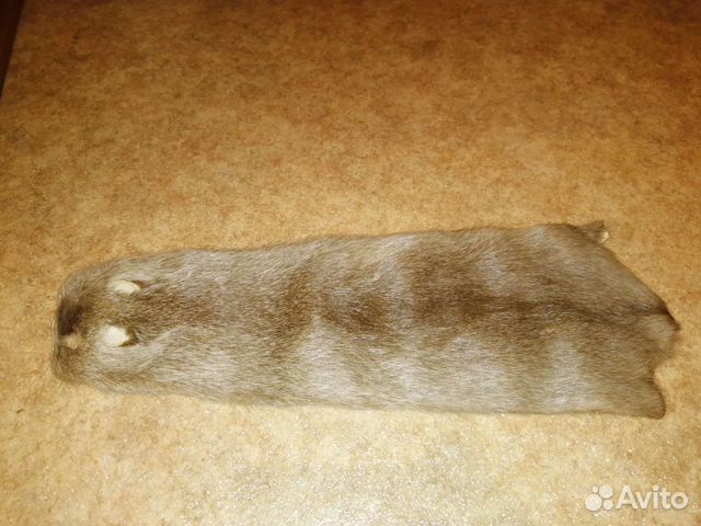 Шкура нутрии