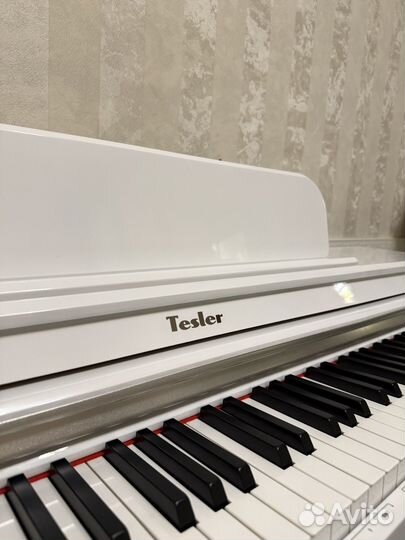 Цифровое пианино tesler STZ-8810