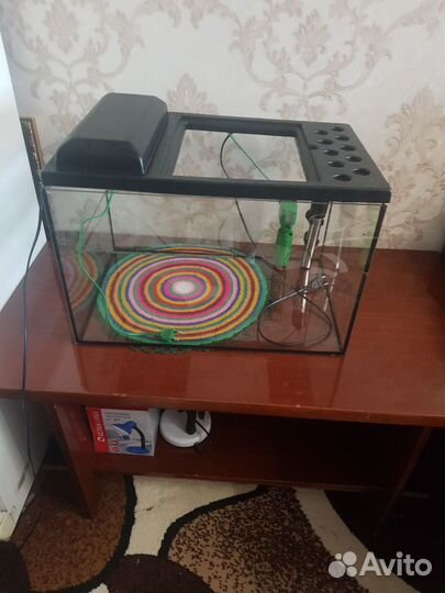 Аквариум для красноухой черепахи