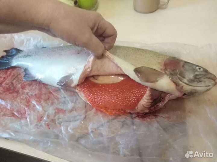 Доставка форели свежей,икры и морепродуктов