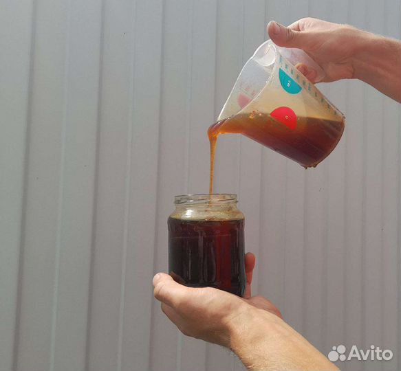 Мëд гречишный