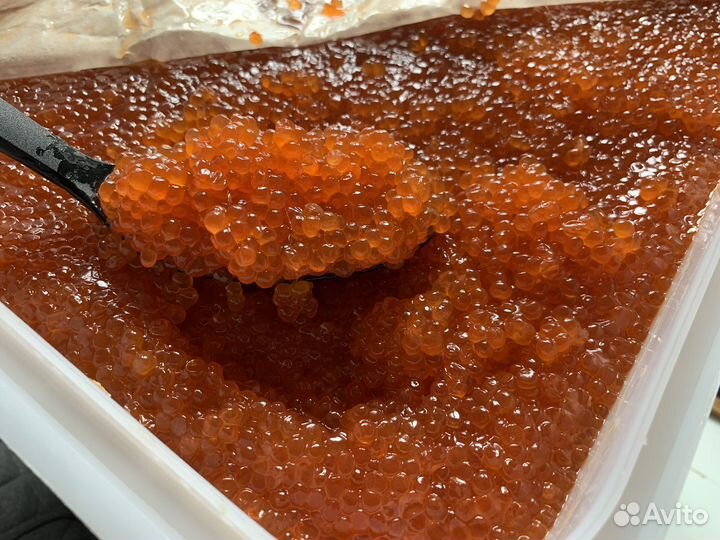 Красная икра горбуши