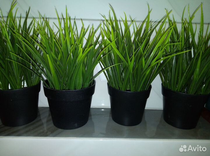 Цветок искуствееный икея