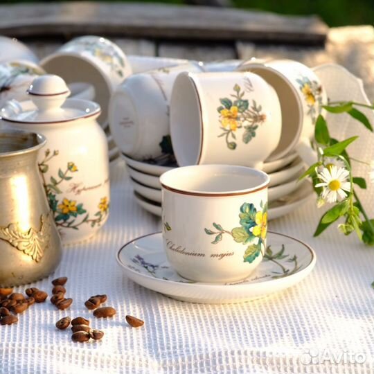 Кофейный набор чашка и блюдце, Ботаника, Виллерой