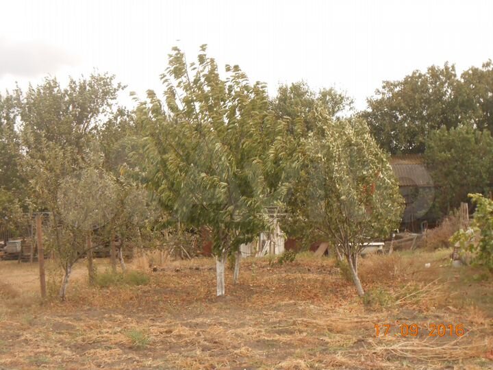 Дом 94 м² на участке 25 сот.