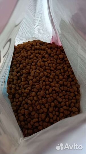 Корм для стерилизованных кошек