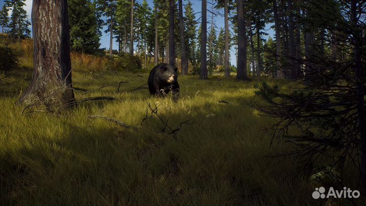 Way of the Hunter PS5, русские субтитры