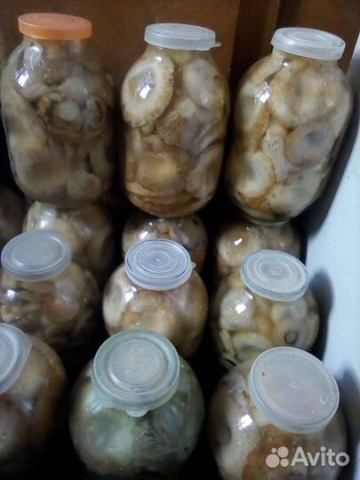 Грибы соленые