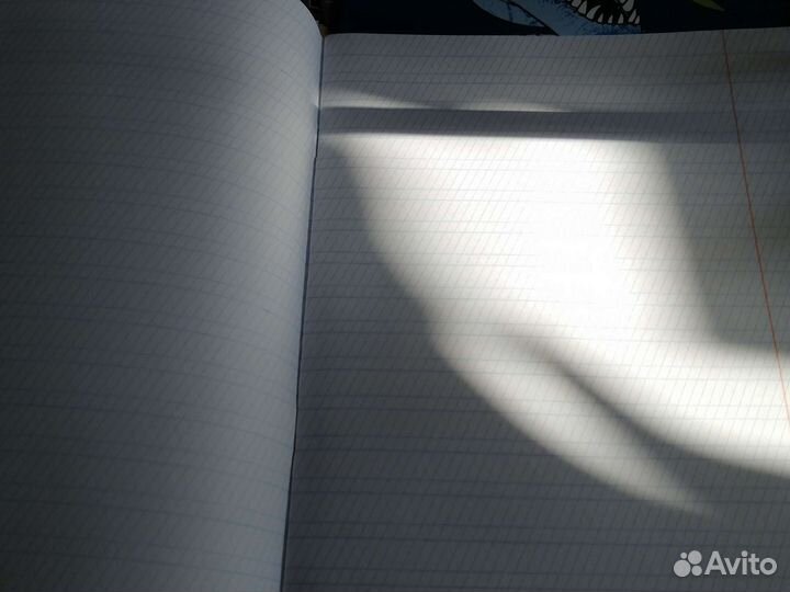 Набор тетрадей 12 листов в частую косую линейку