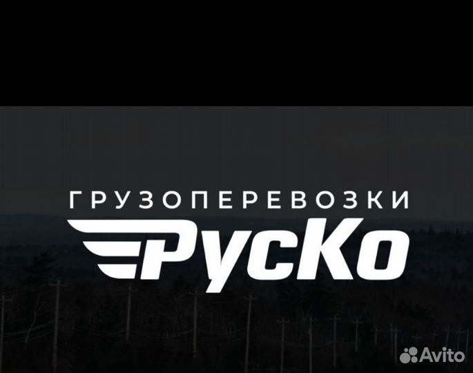 Перевозка 5-6 метрового груза