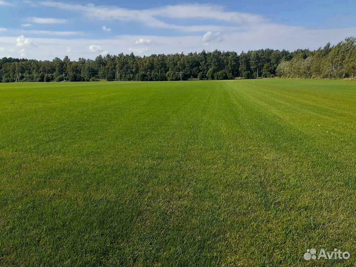 Укладка рулонного газона