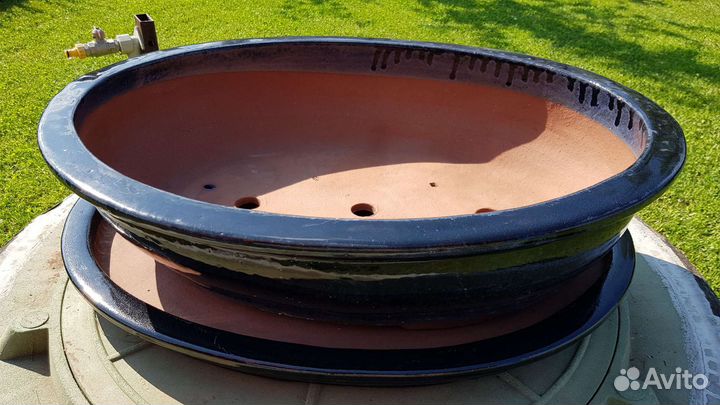 Горшок для бонсай