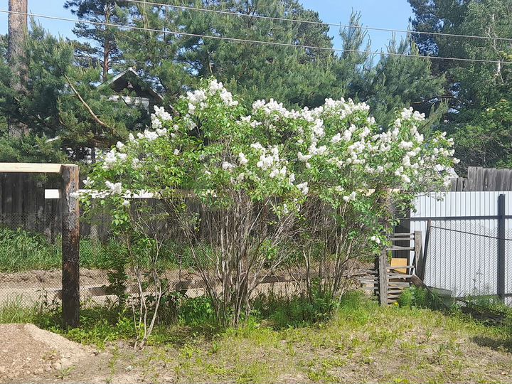 Дача 28 м² на участке 4,5 сот.