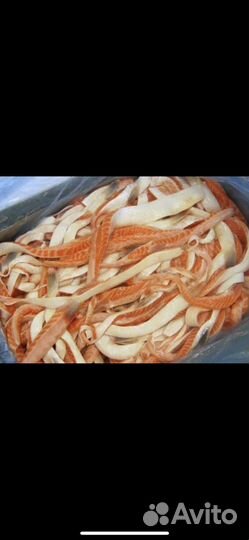 Брюшки лосося