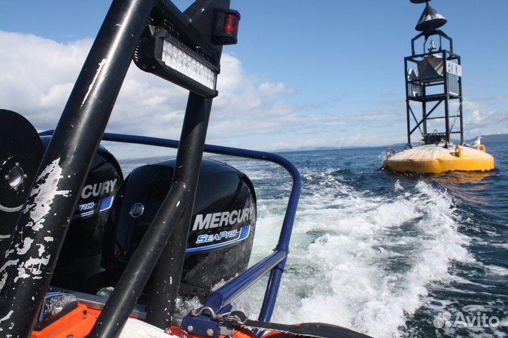 Лодочный мотор Mercury ME F 150 L SeaPro