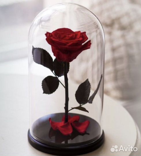 Роза в колбе