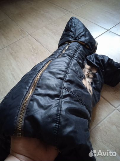 Зимний комбинезон для собачки