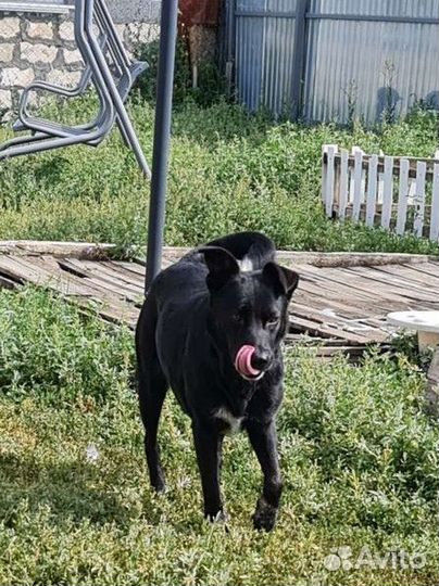 Молодая девочка