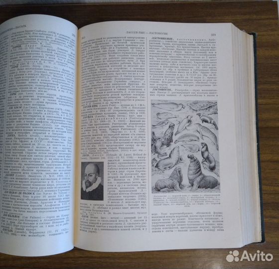 Малая советская энциклопедия, словарь