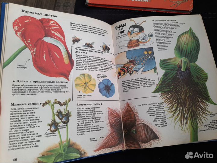 Энциклопедия Тайны живой природы